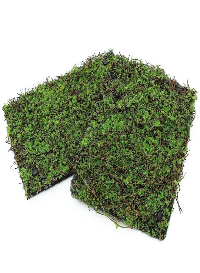 AQUA KT Terrarium Moss Background Backdrop Wall Artificial Reptile Amphibian Cage Decoration for Lizard Bearded Dragon Snake Frog Chameleon Climbing, Pack of 2 - Image 1